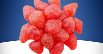 Strawberry Dried