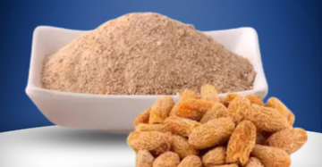 Yellow Sukha Dry Dates Powder( Chaura )