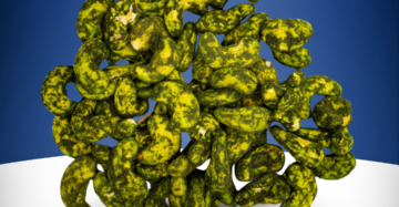 CASHEW GOA Regular Pudhina Flavour