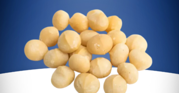 Macadamia AI Royale