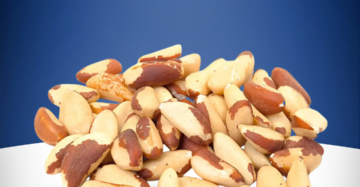 Brazil Nut AI Royale