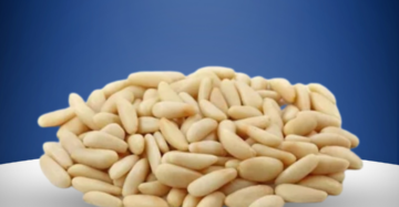 Pine Nuts (Special Nuts)