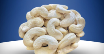 Cashew GOA