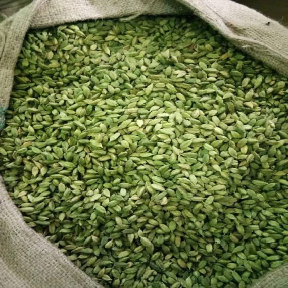 Cardamom Elachi 8 MM
