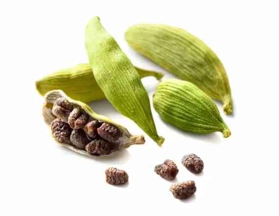Cardamom Elachi Dana