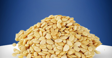 Muskmelon seeds kharbooja