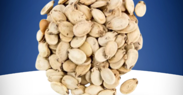 Roasted watermelon seeds tarbuj beej