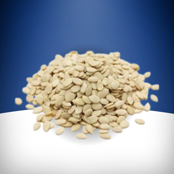 Watermelon seed tarbuj beej