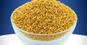 Methi Seeds ( Fenugreek )