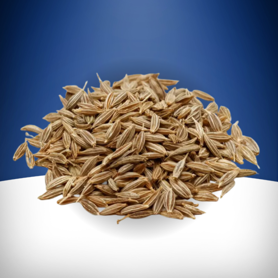 Caraway Seeds Shahi Jeera