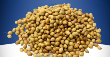 Corainder Seeds Akha Dhaniya Premium