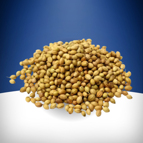 Corainder Seeds Akha Dhaniya Premium