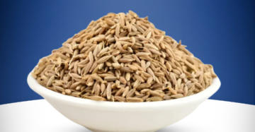 Cumin seeds Jeera Premium