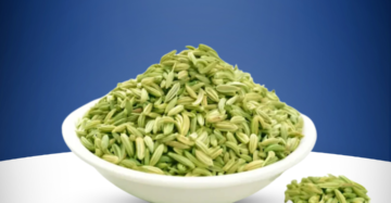 Fennel seeds Saunf