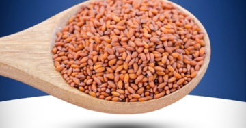 Halim Seeds Aliv Seeds