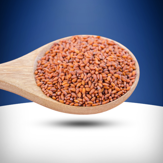 Halim Seeds Aliv Seeds