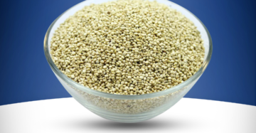 Quinoa Seed