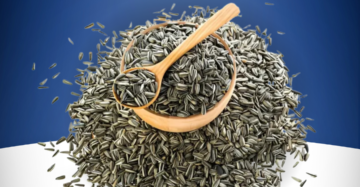 Black Cumin Kala Jeera