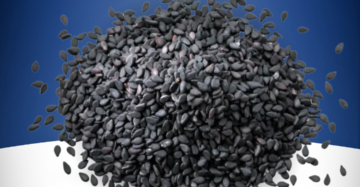 Black Seasame Kala Til