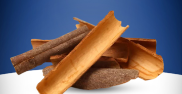 Cinnamon Sticks Dalchini