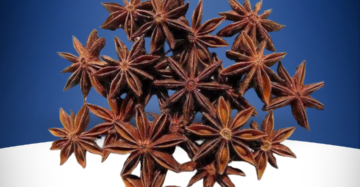 Star Anise  Badiyan Phool